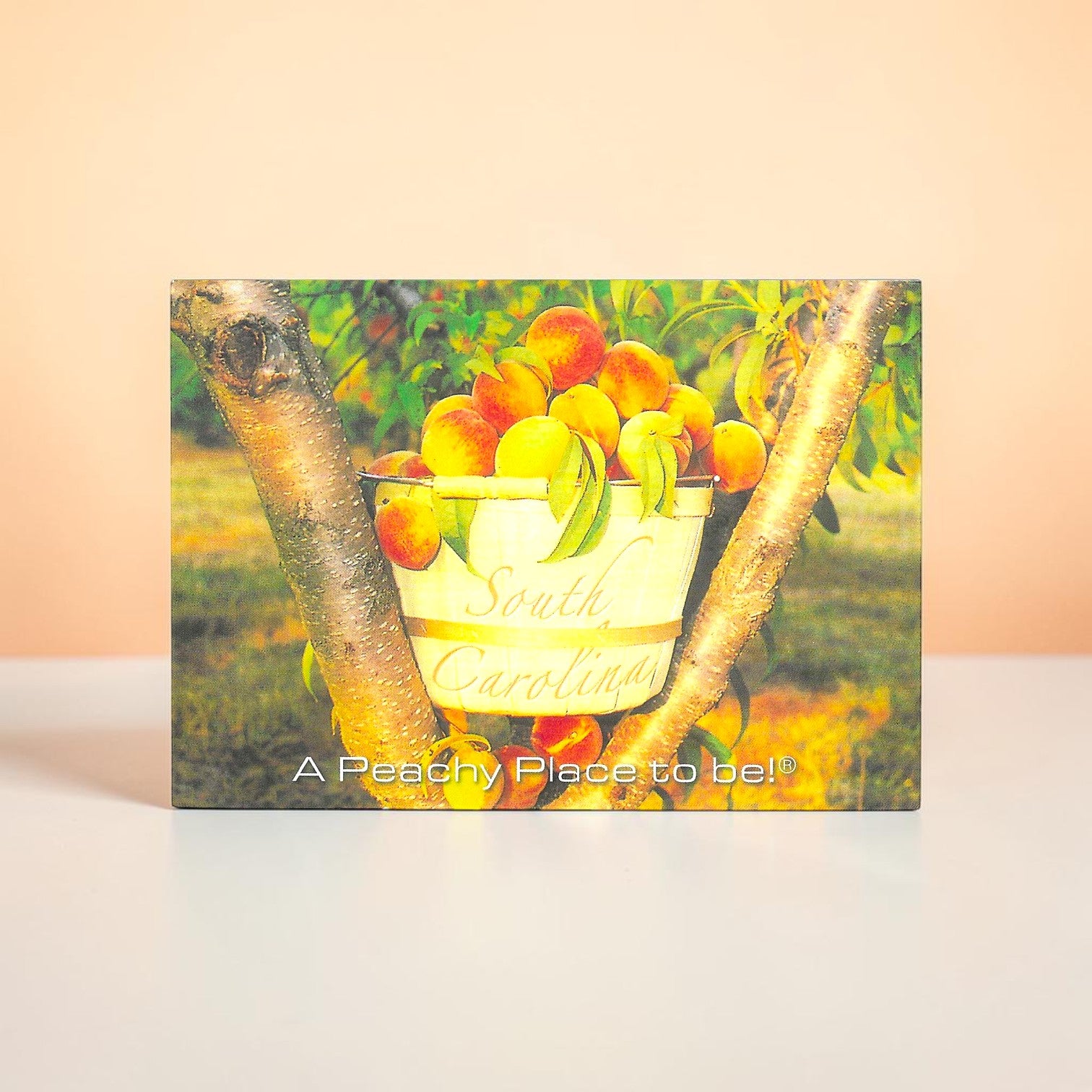 South Carolina postcard with a bucket of peaches on a tree branch, featuring the text 'A Peachy Place to be!'.